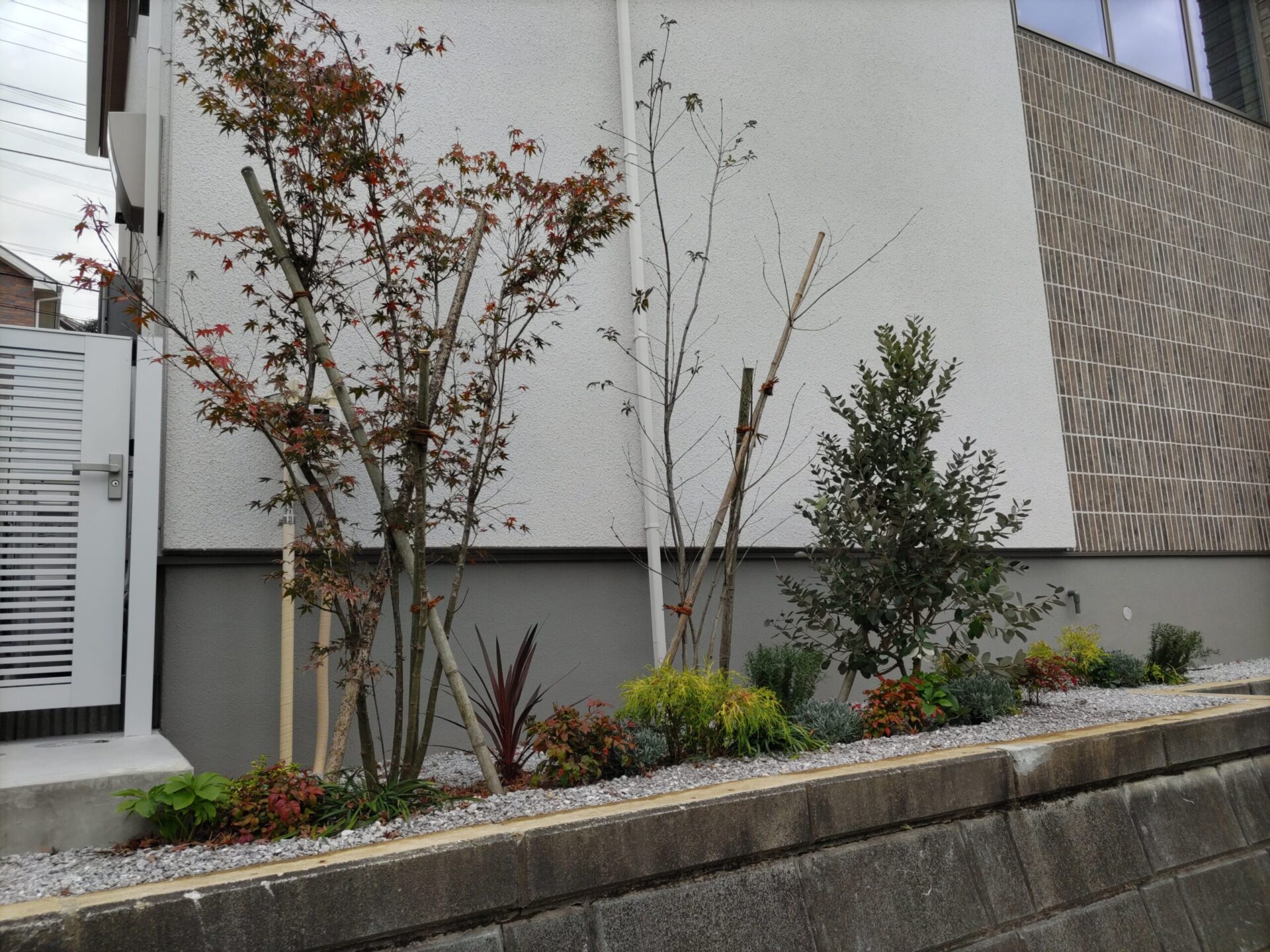 横浜市H様邸｜四季を感じる木々たち